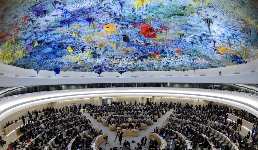 Quel est le rôle du comité des droits de l'homme de l'Onu ?