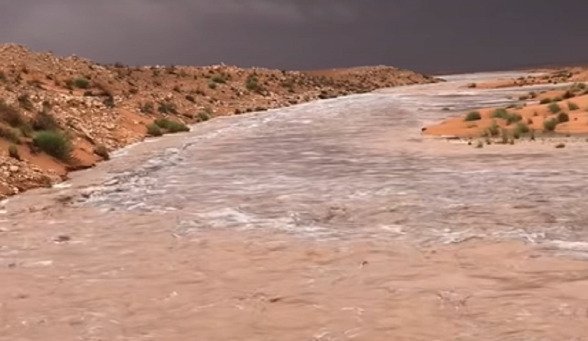 Vidéo – L’eau qui coule au Sahara émerveille les internautes