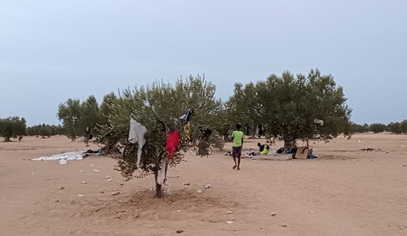 El Amra : Les forces de scurit enlvent les camps des migrants 