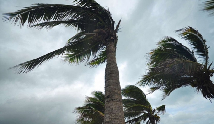 Météo - Tunisie : vent fort à partir de l’après-midi du lundi 20 mai