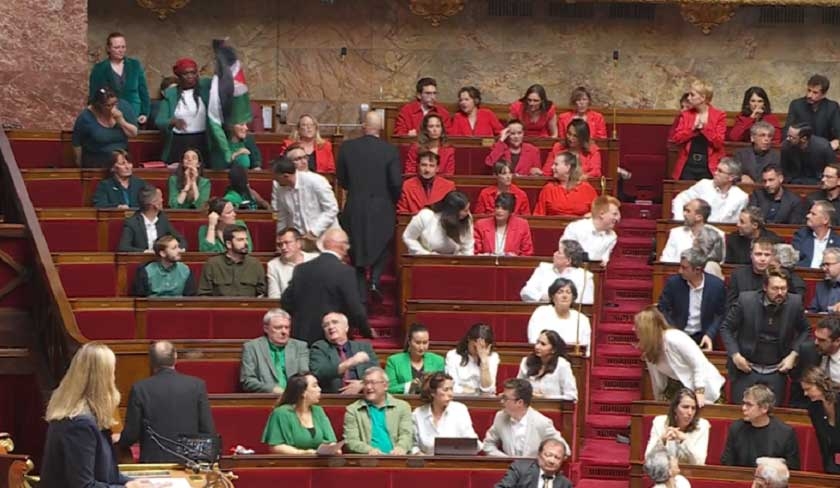 Le drapeau palestinien de nouveau brandi  lassemble franaise