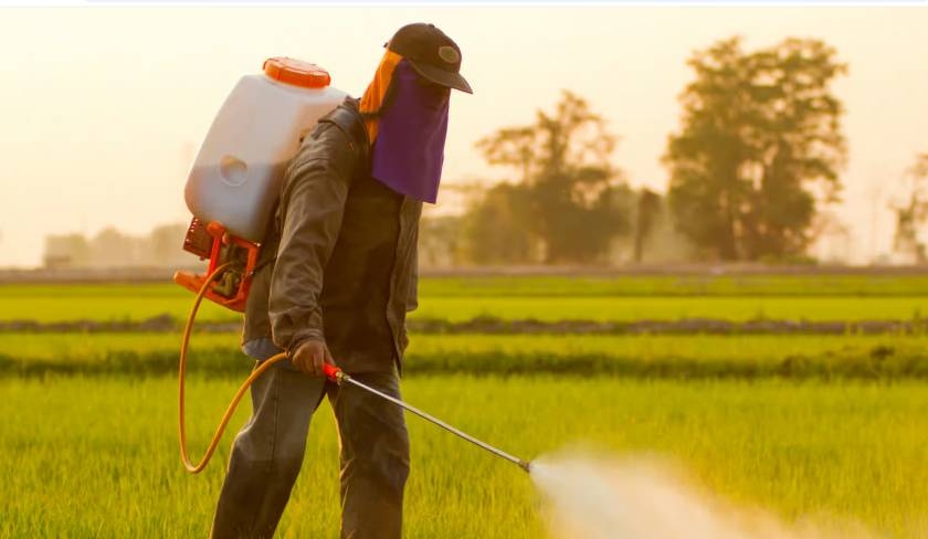 Maidani Dhaoui : les agriculteurs tunisiens n’ont pas de substitut à certains pesticides dangereux