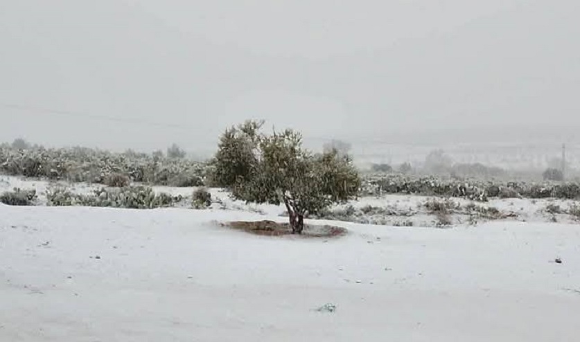 En photos : la neige est au rendez-vous !


