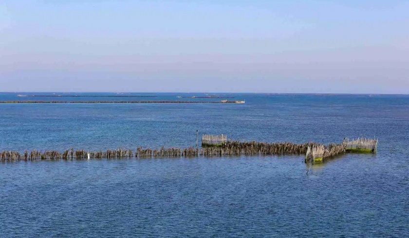 Kerkennah au cœur d'un projet de protection du littoral soutenu par MedFund