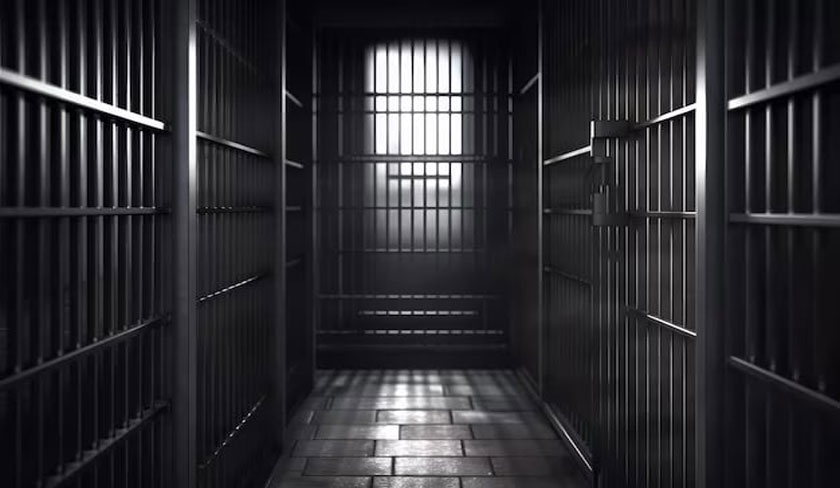 Zeghidi, Dahmani, Bssais : un an de prison, et aprs ?