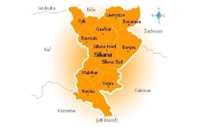 Les résultats partiels dans le gouvernorat de Siliana
