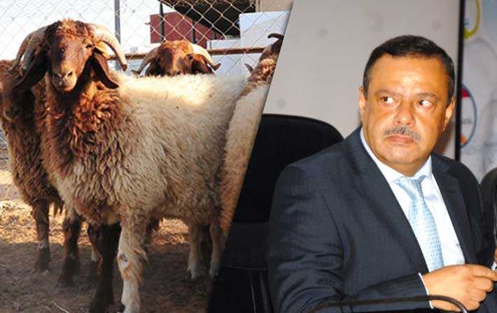 Samir Taeb : Pas dimportation de moutons pour lAd !