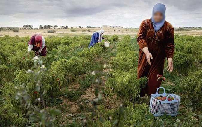 Nouvelles mesures pour les ouvrires agricoles : quest-ce qui change ?