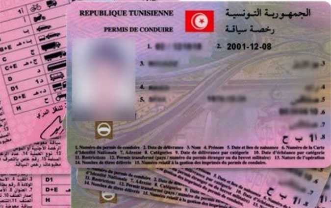 Les personnes en situation de handicap nont plus  se dplacer  Tunis pour obtenir leur permis