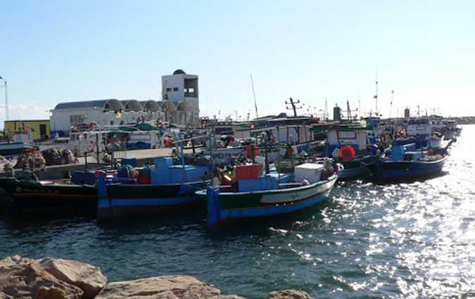 Sfax : des pêcheurs décident de partir dans une migration collective symbolique

