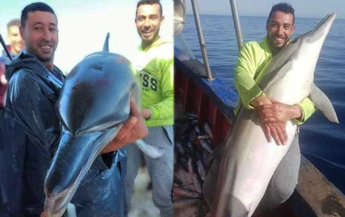 Une association dnonce la pche dun dauphin en Tunisie

