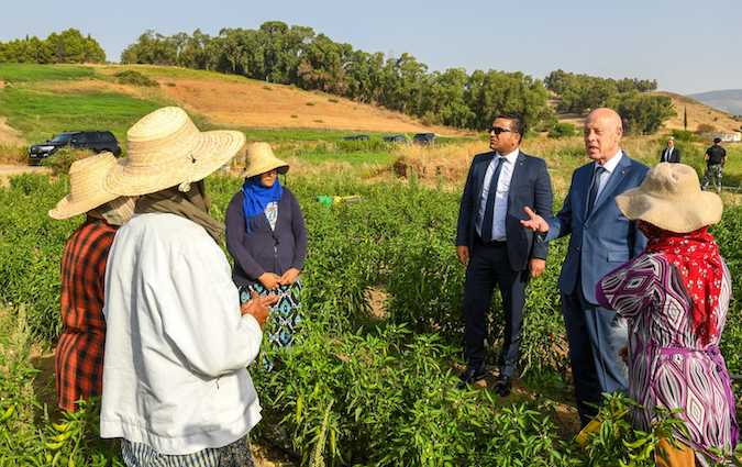 Kaïs Saïed aux ouvrières agricoles : l'égalité doit être garantie !