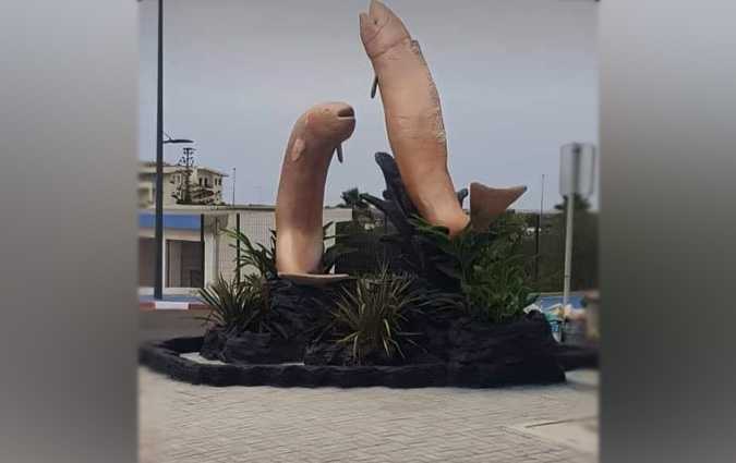 Ces poissons phallus sont au Maroc et non en Tunisie
