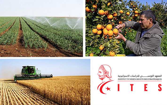 Ites : Agriculture et IAA à consolider face à la crise du Covid-19