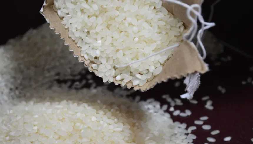 Elyes Ben Ameur : Le riz import est analys et trait et ne constitue aucun danger pour le consommateur