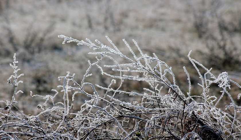 Météo Tunisie : temps hivernal et baisse des températures
