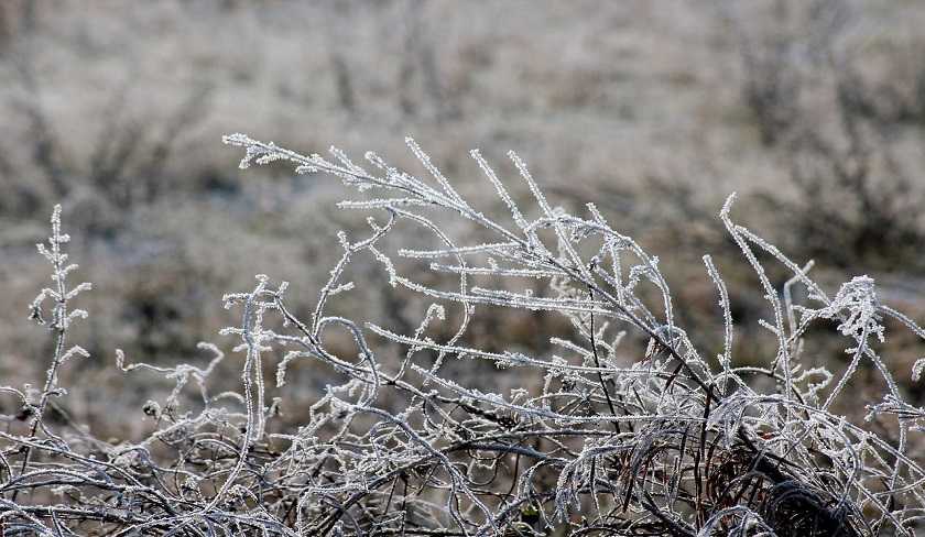 Mto Tunisie : temps hivernal et baisse des tempratures 

