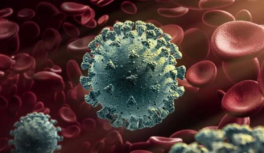 Le nouveau variant du Coronavirus dtecte pour la premire fois en France et au Japon 