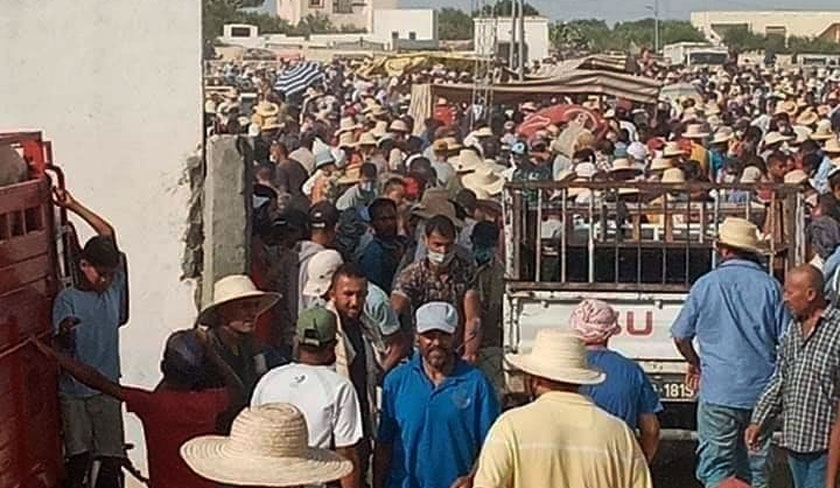 Pour la fte de lad 2021, les Tunisiens seront plus sacrifis que les moutons
