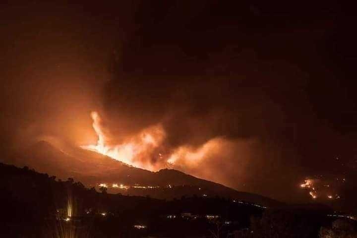Quarante hectares de terres et de forts  ravags par le feu  Ghardimaou

