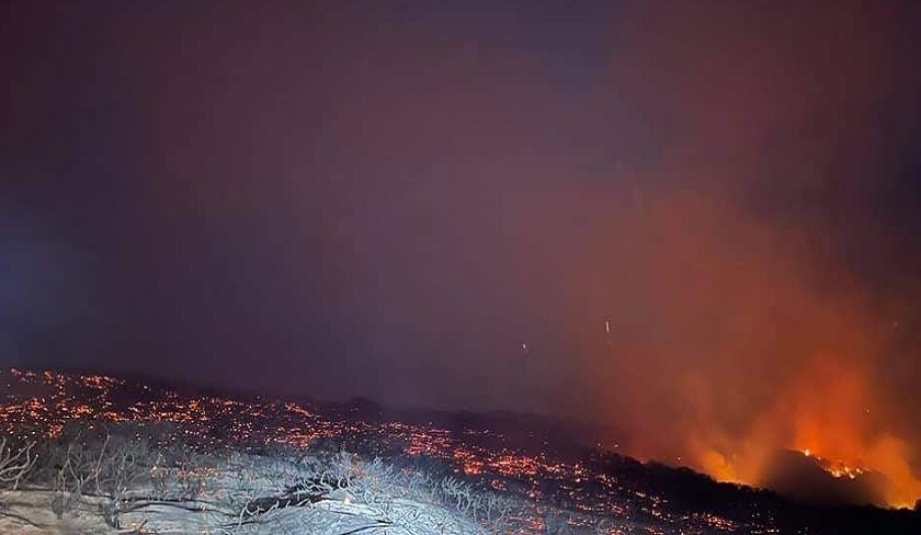 Des incendies à Jendouba et à Bizerte