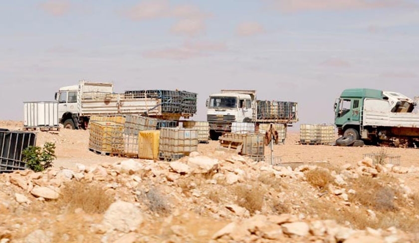En Tunisie, la mule est une juge