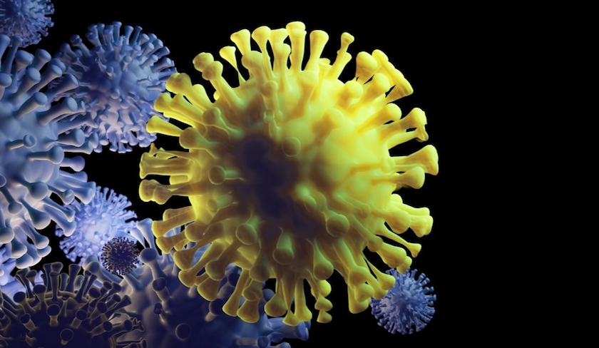 Coronavirus : LAfrique du Sud surveille de prs un nouveau variant  C.1.2  
