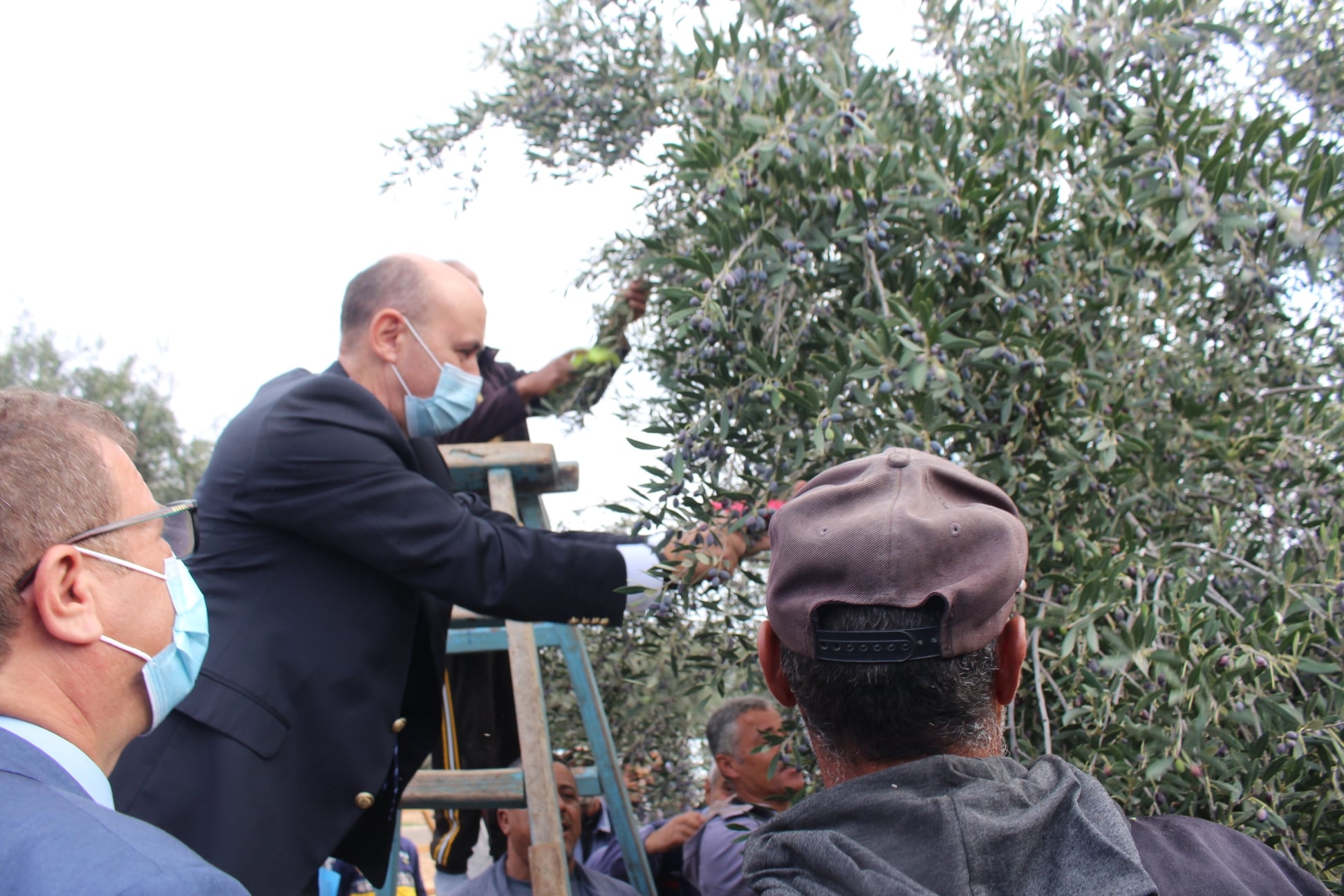 240 mille tonnes d'huile d’olive pendant la saison 2021/2022