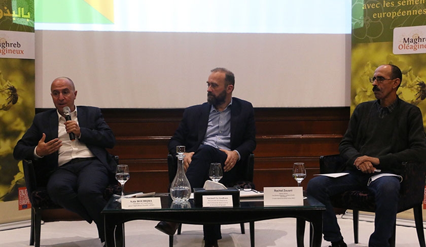 La culture du Colza en Tunisie : une solution aux enjeux de durabilité du secteur agricole