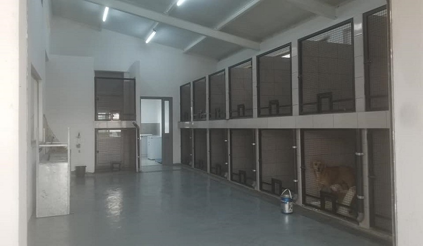 Ouverture du centre pour la stérilisation et vaccination des chiens errants à la Marsa