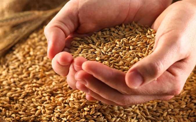 Les rserves tunisiennes de bl couvriront la demande jusquen mai 2022