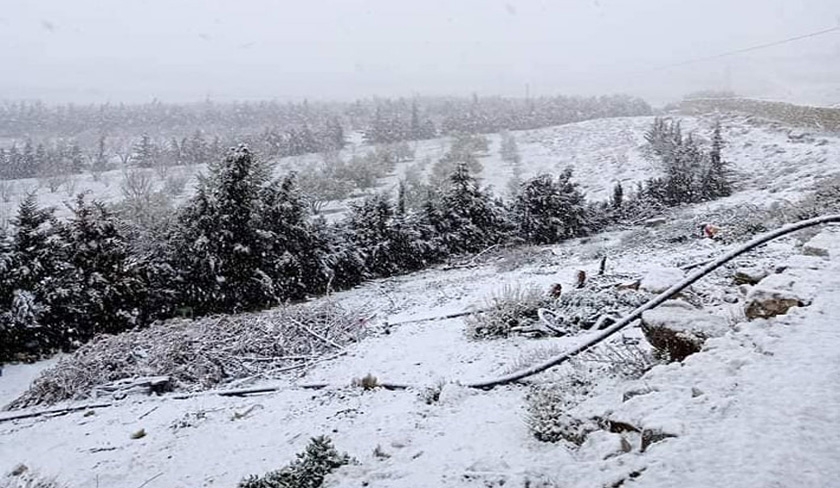 En photos, plusieurs régions de Tunisie sous la neige