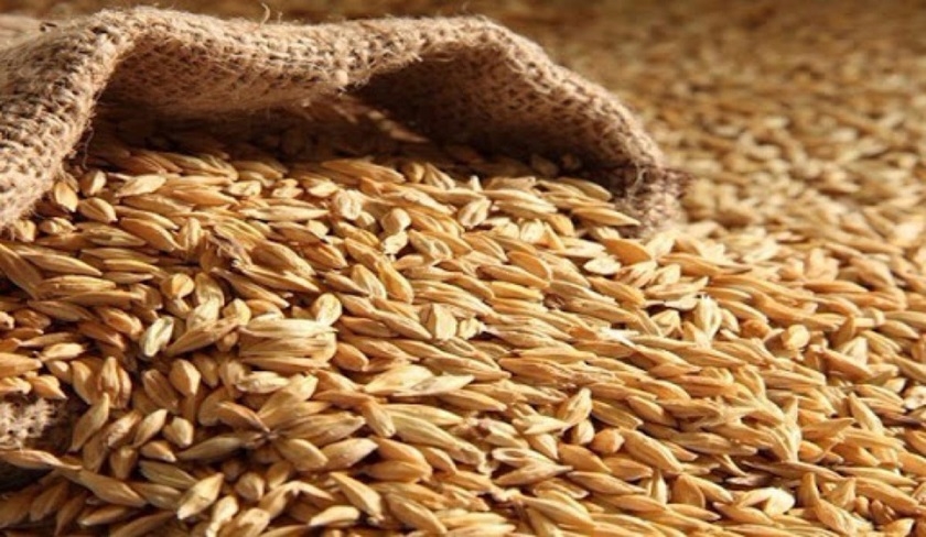 Elyes Hamza : nos stocks de blé suffiront jusqu’à la prochaine moisson en mai et juin