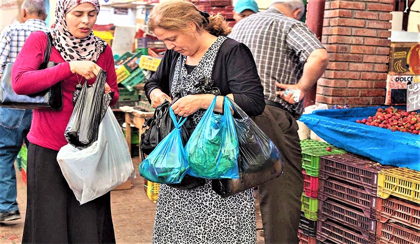 Djerba : interdiction des sachets en plastique à usage unique dès le 1er août