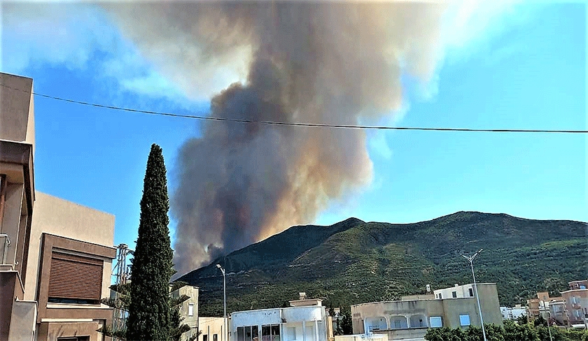 Mise en garde contre la fumée de l’incendie de Boukornine sur l'autoroute