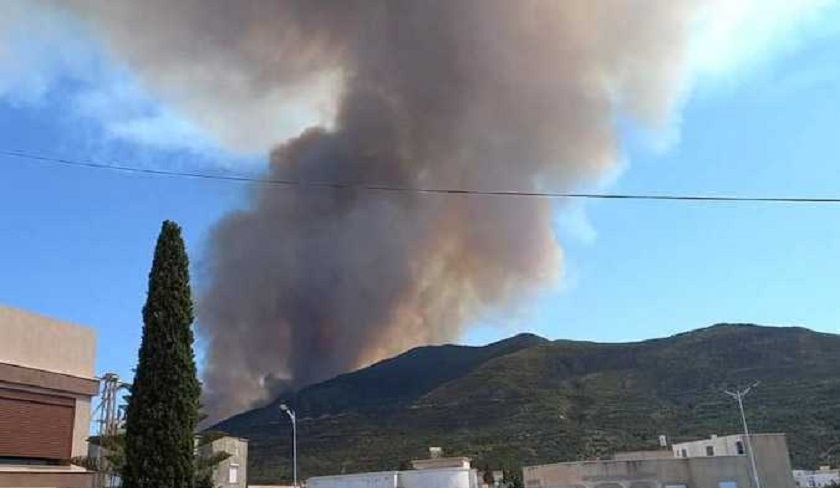 Incendie de Boukornine : mise en garde sur la route
