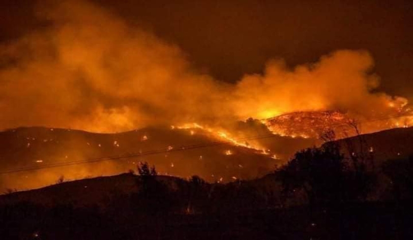 Ben Salem : les chances que l'incendie de Boukornine ne rsulte pas d'un acte humain sont minimes