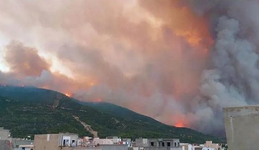 Les internautes craignent un nouveau dpart de feu  Boukornine, quen est-il ?