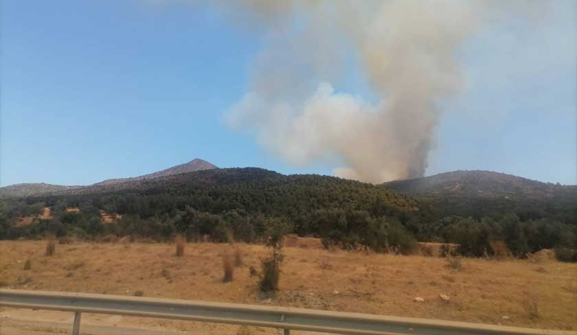 En photos - Un autre incendie proche de l'autoroute Tunis - Hammamet