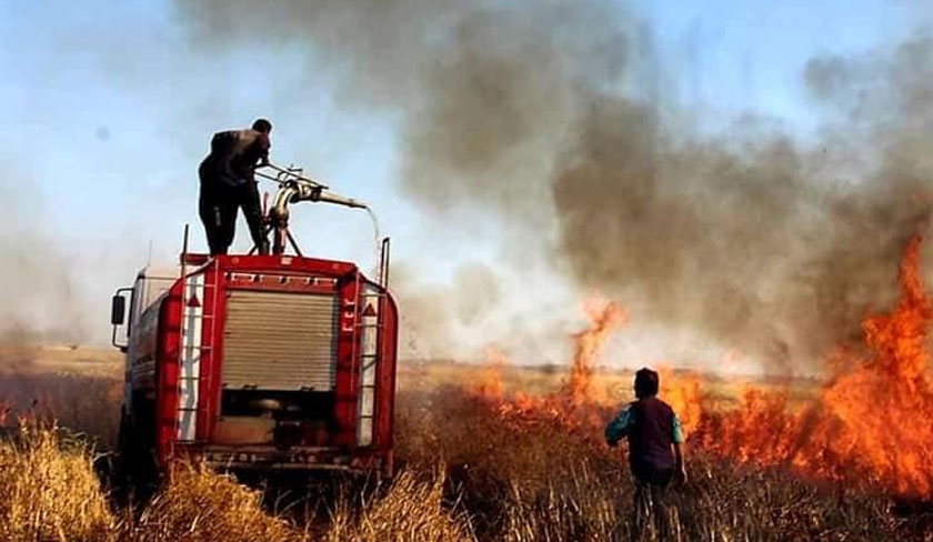 Tunisie - 113 incendies en 24h