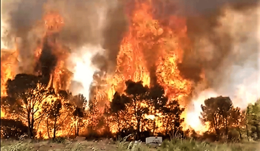 Le feu menace des habitations dans la localité de Bou Saadia