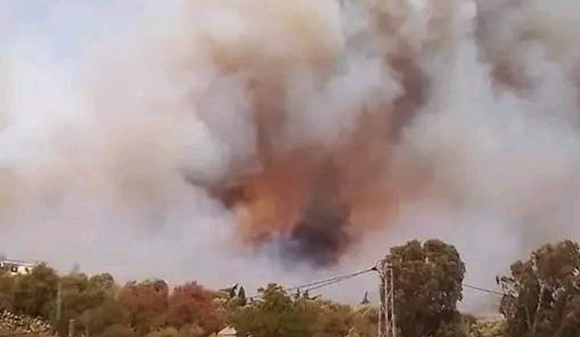 En photos - Tabarka : Djebal Brirem s’embrase, des maisons prennent feu