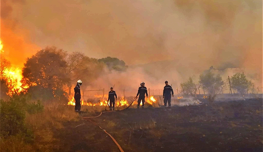 Tabarka : Un centre d’accueil pour les victimes de l’incendie