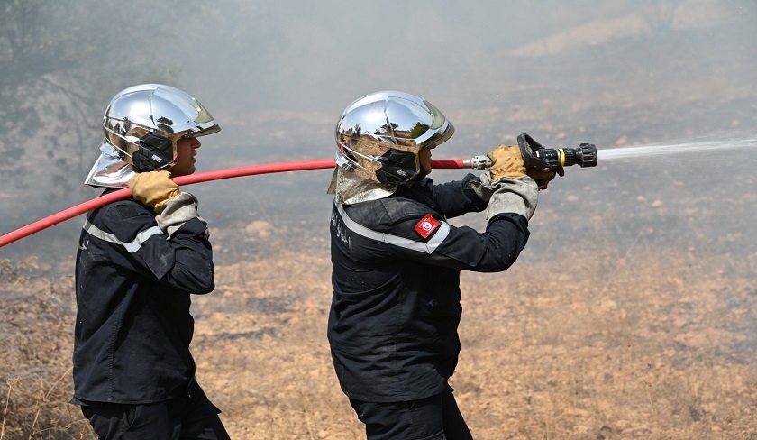 Ariana – Incendie maîtrisé à djebel Bazina Jabbes