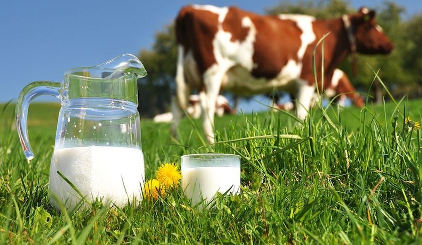 La Chambre des collecteurs de lait met en garde contre une rupture de stock totale 
