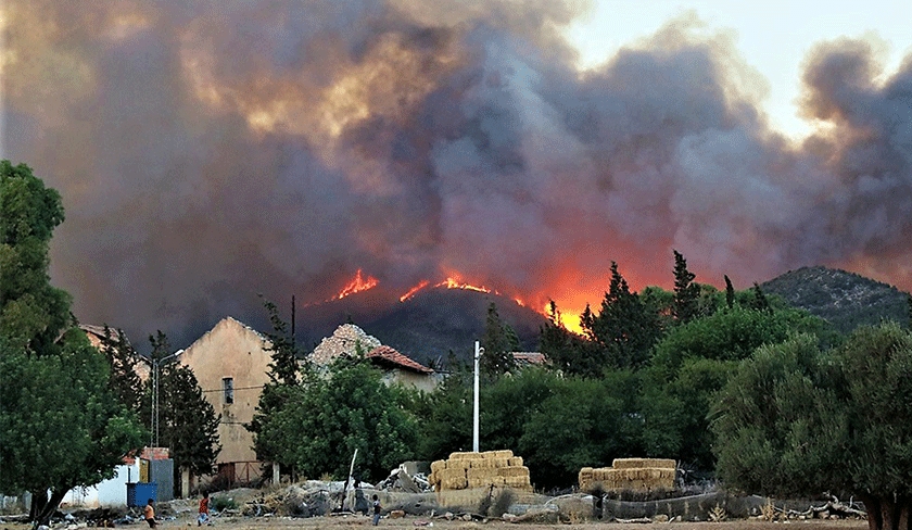 Plusieurs départs de feu à Sejnane et à Mateur