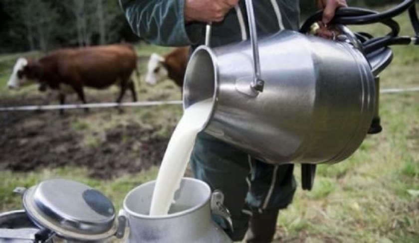 Pnurie de lait : le stock disponible ne dpassera pas un mois de consommation