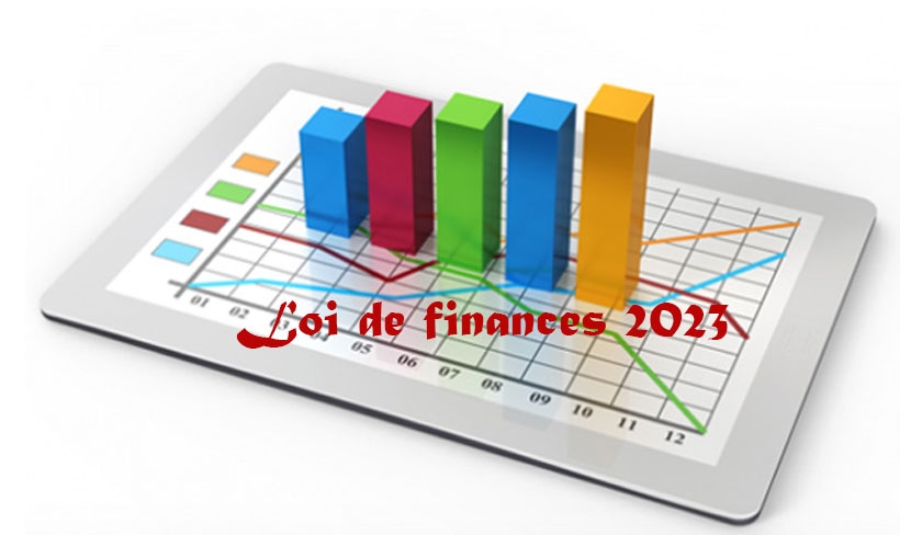 Ce que les experts pensent de la loi de finances 2023