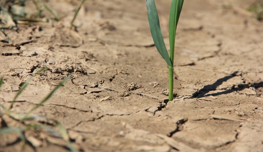 Comment l'agriculture peut-elle s'adapter aux changements climatiques ?

