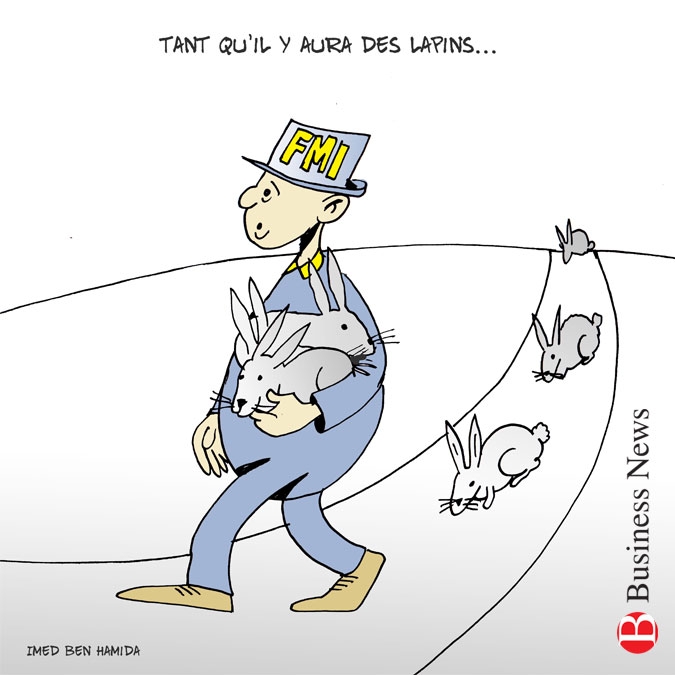 Le FMI pose des lapins